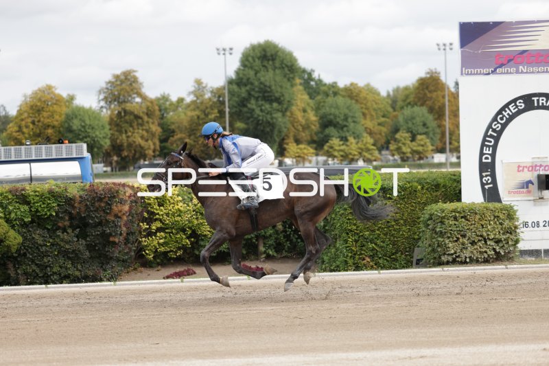 Jockey auf Pferd #5 im Galopp auf der Rennbahn Berlin Mariendorf