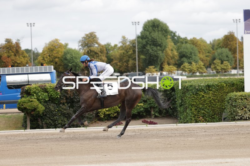Jockey mit Startnummer 5 im Galopp auf der Rennbahn Berlin Mariendorf