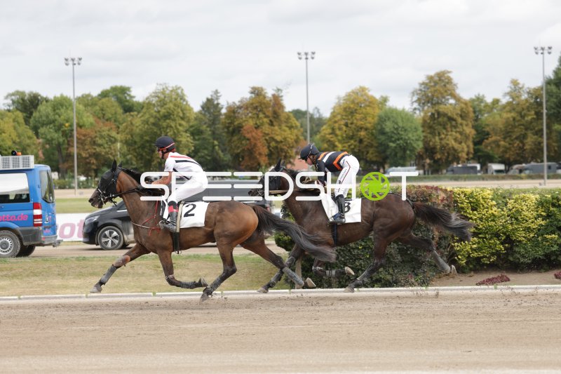 Kopf-an-Kopf-Rennen: Jockey #2 und #3 auf der Rennbahn Berlin Mariendorf