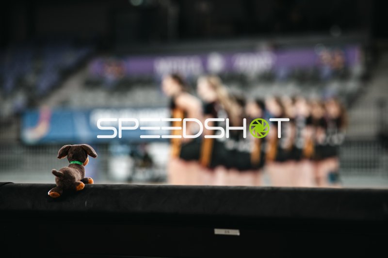 Kuscheltier-Hund beobachtet Deutschland u16w bei Aufstellung in Pitesti