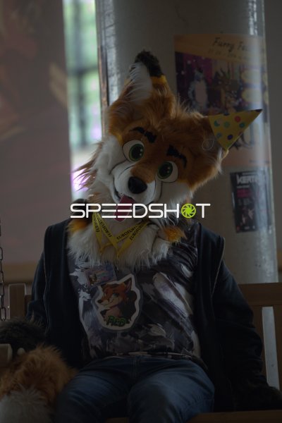 Fursuiter mit Fuchs-Kostüm bei Eurofurence in Hamburg