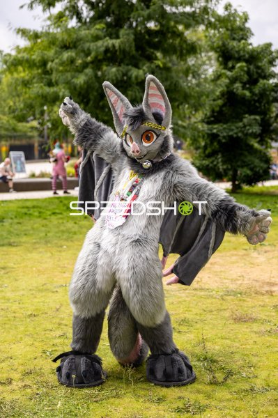 Fursuit-Träger als grauer Fledermaus-Charakter posiert im Freien