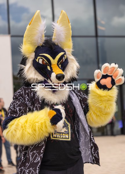 Fursuit-Träger "Wilson" winkt vor dem CCH Hamburg