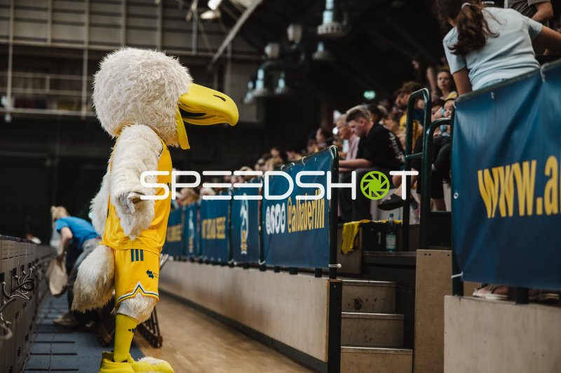 Alba Berlin Maskottchen an der Seitenlinie in der Sömmeringhalle