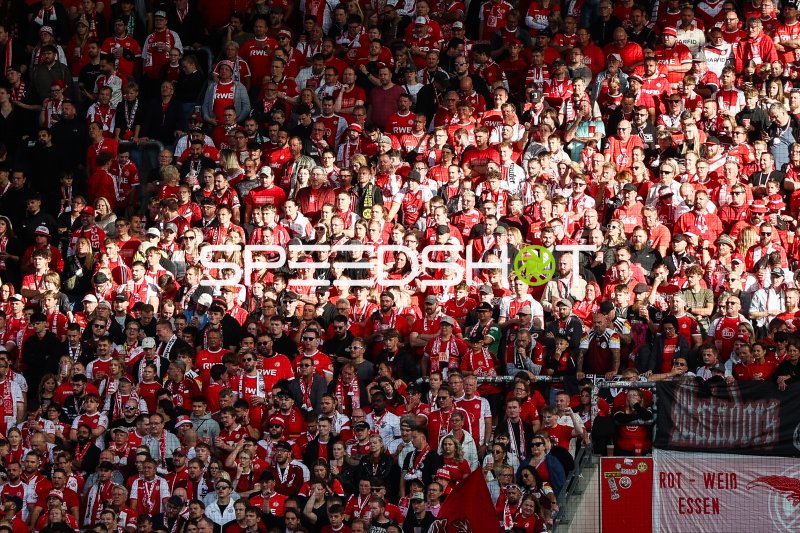 Fans von Rot-Weiss Essen auf der Tribüne