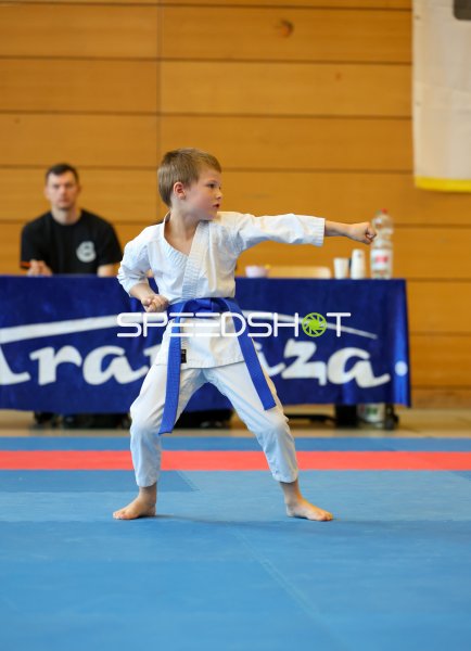 Junger Karateka mit blauem Gürtel bei Kata-Vorführung in Eckernförde