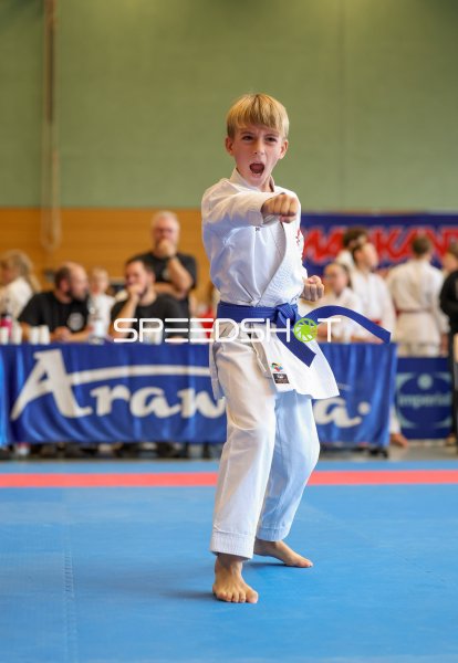 Junger Karateka mit blauem Gürtel führt Kata-Technik aus
