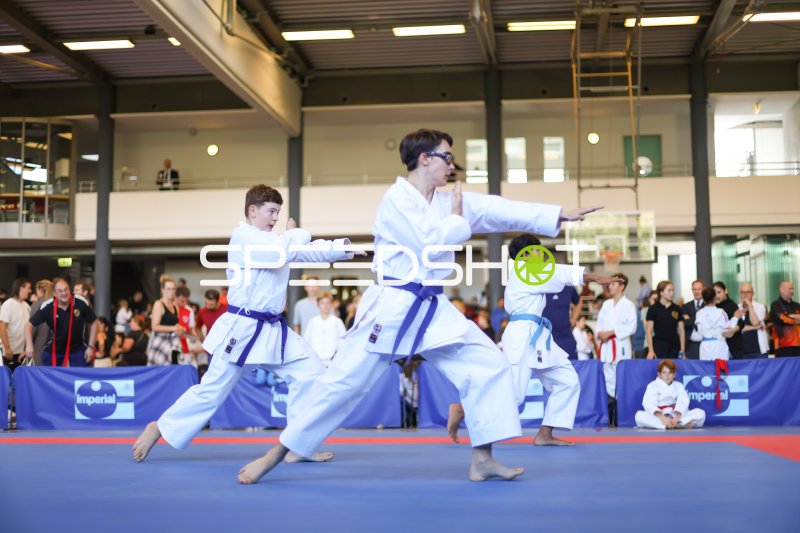 Karate-Kata-Vorführung mit drei Athleten in synchroner Bewegung