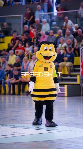 Vereinsmaskottchen der Bienen bei Auftritt in der Halle