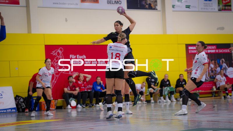 Zweikampf um den Ball beim Handball-Wurf