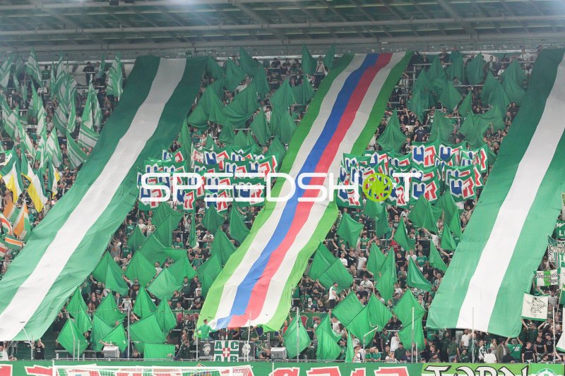 SK Rapid Wien Fans im Allianz Stadion Wien