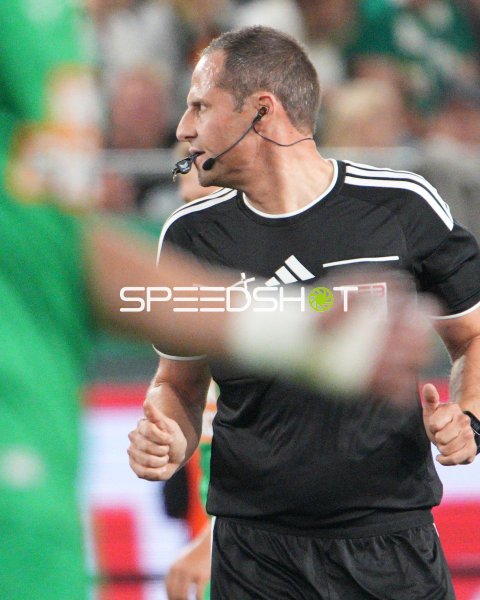 Schiedsrichter leitet Partie im Allianz Stadion Wien