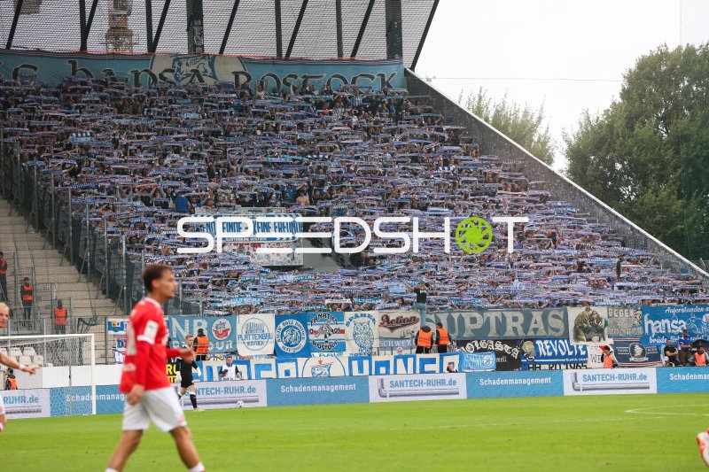 FC Hansa Rostock Fans im Stadion an der Hafenstraße