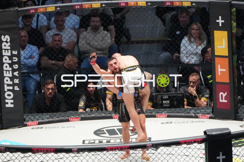 MMA-Kämpfer in der Octagon-Arena während des Kampfes