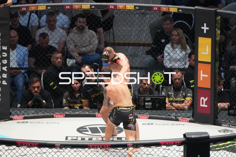 MMA-Kämpfer in der Octagon-Arena während des Kampfes