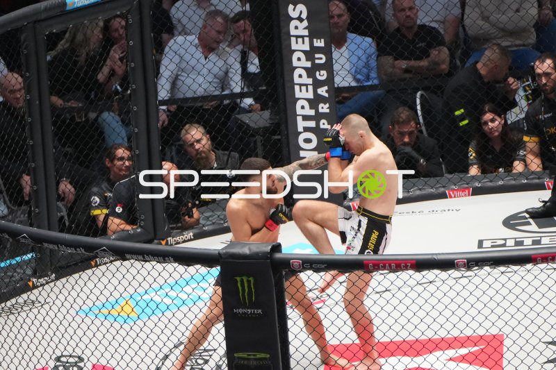 MMA-Kämpfer im Octagon während intensiven Schlagaustausch in Frankfurt