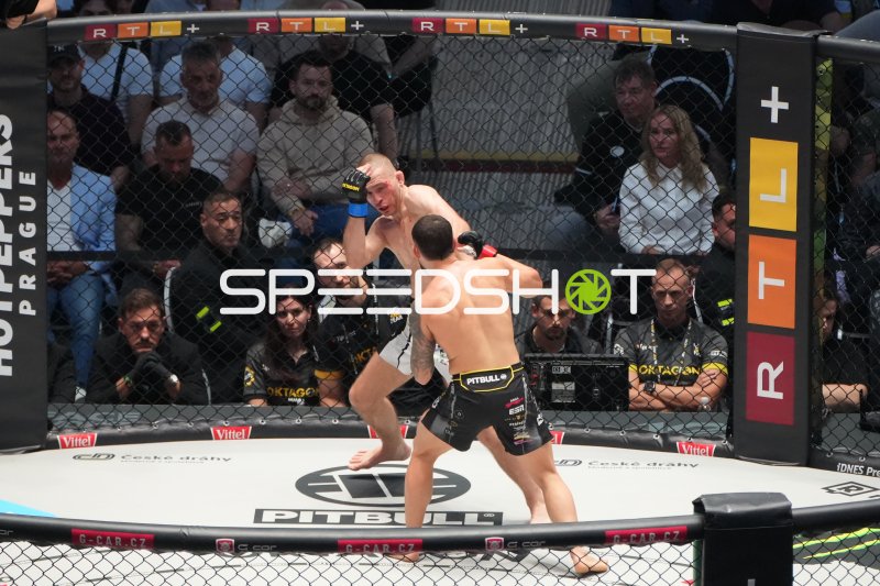 MMA-Kampf im Octagon – zwei Kämpfer im intensiven Schlagabtausch