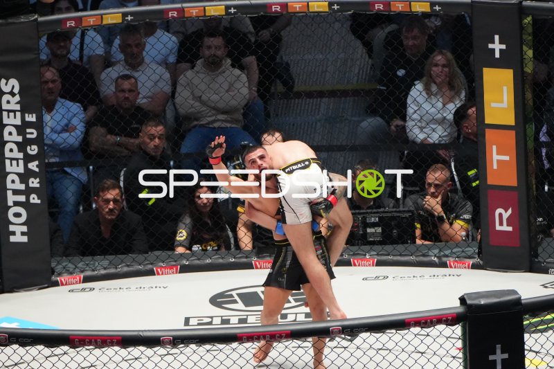 MMA-Kämpfer in Kampfposition im Octagon