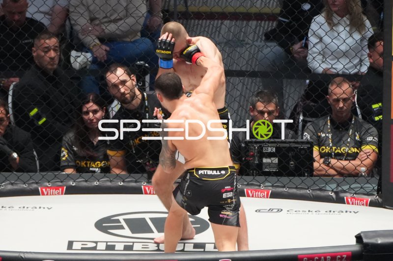 MMA-Kämpfer im Octagon während intensiver Kampfaktion in der Deutschen Bank Park