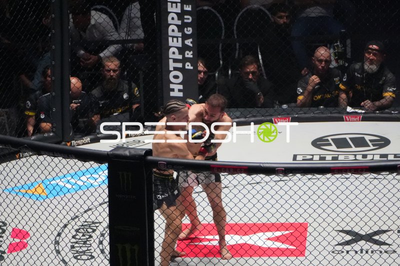 MMA-Kämpfer im Octagon während intensiven Kampfes in Frankfurt