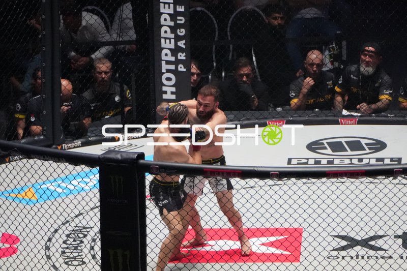 MMA-Kämpfer in der Octagon-Action vor Publikum in Frankfurt