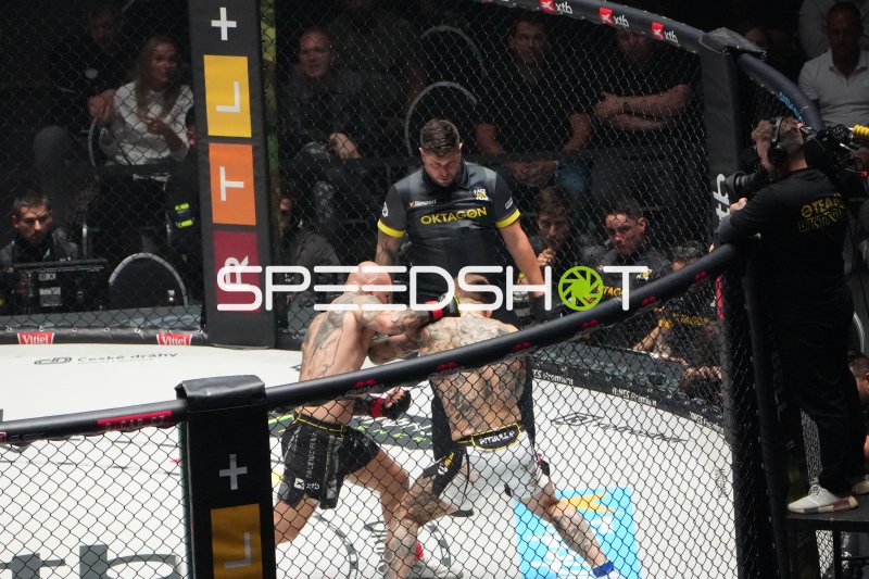 MMA-Kampf in der Octagon-Arena der Deutschen Bank Park Frankfurt