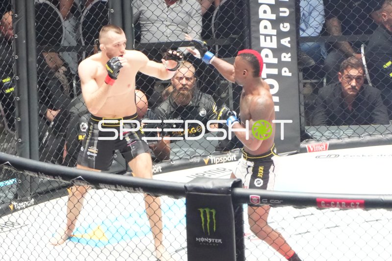 MMA-Kampf in der Octagon-Arena der Deutsche Bank Park