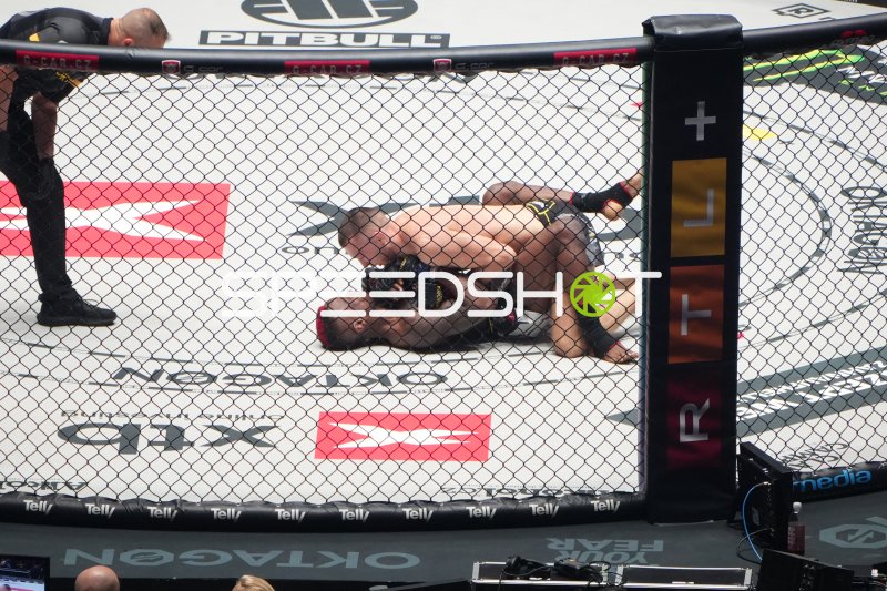 MMA-Kämpfer am Boden im Octagon der Pitbull Fighting Championship
