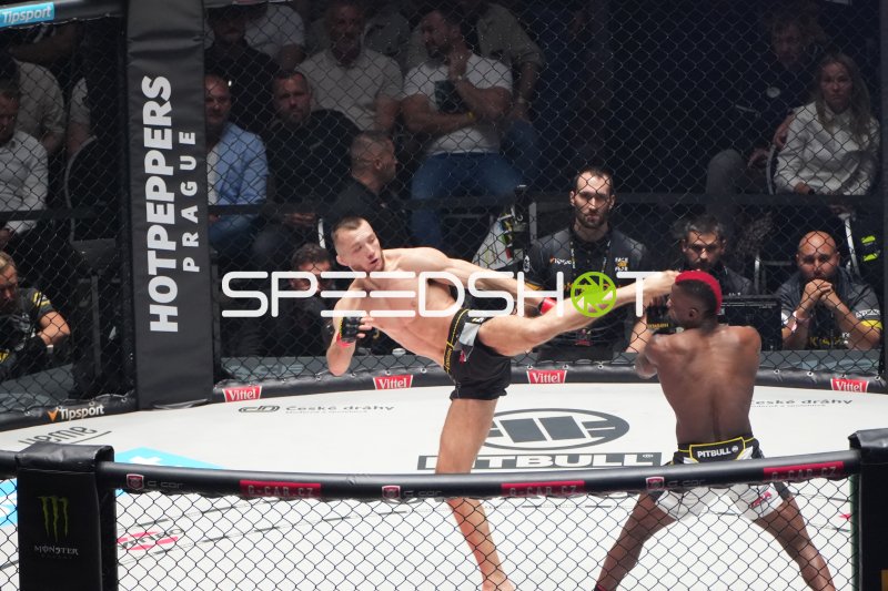Fedor Duric im Sprungkick gegen Gegner in der Octagon