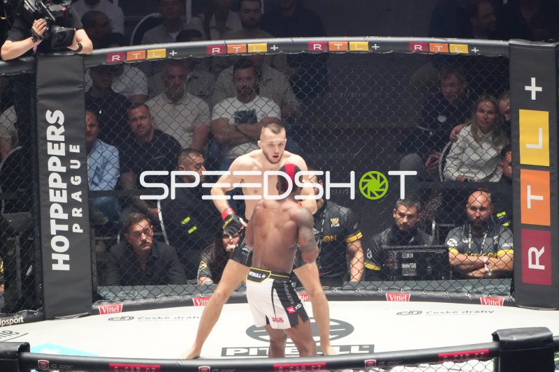 MMA-Kampf in der Octagon-Arena, Deutsche Bank Park Frankfurt