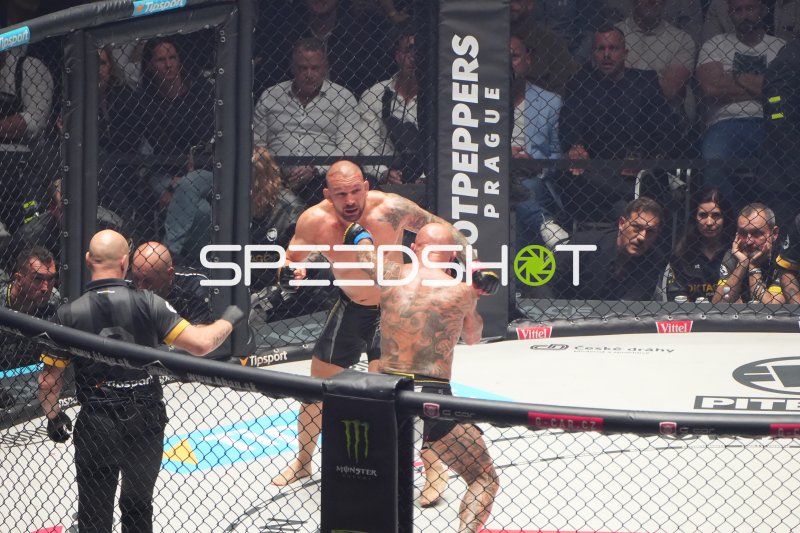MMA-Kämpfer im Octagon während intensiven Kampfes in Frankfurt