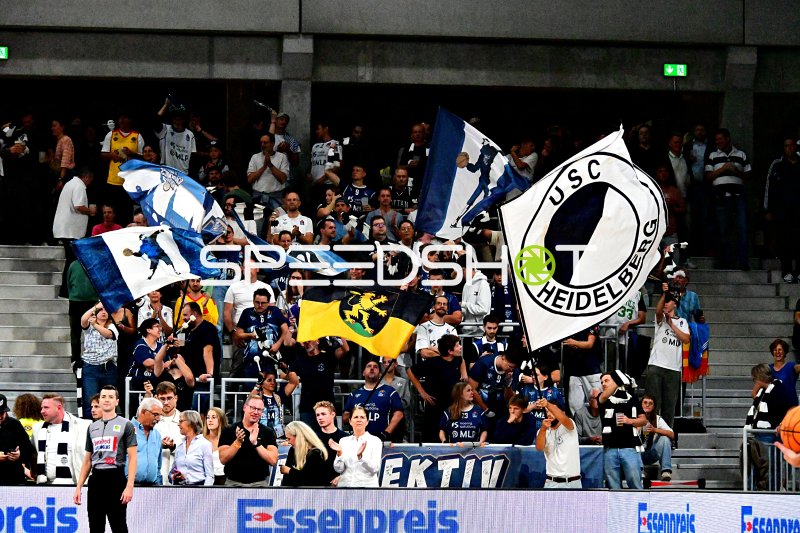 Fans der MLP Academics Heidelberg in der SNP Dome