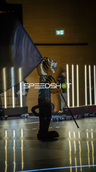 HC Elbflorenz Maskottchen mit Flagge in der BallsportArena Dresden