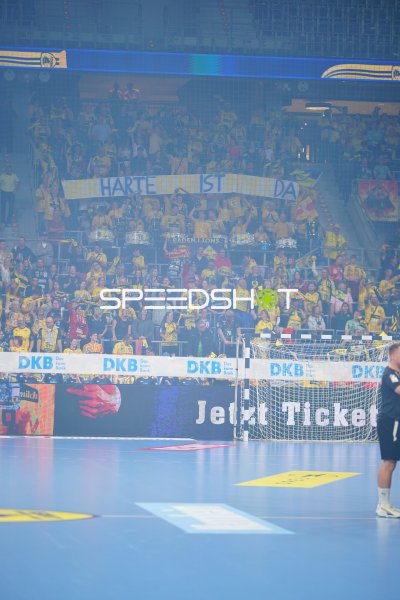 Rhein Neckar Löwen Fans in der SAP Arena Mannheim
