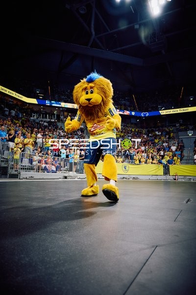 Maskottchen posiert vor der Menge