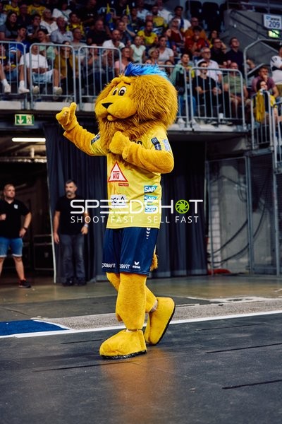 Maskottchen auf dem Spielfeld