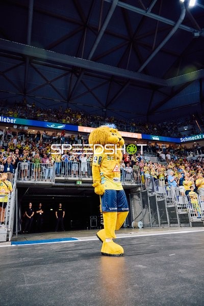 Maskottchen auf dem Spielfeld