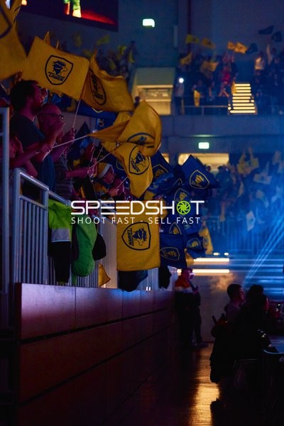 Fans schwenken Fahnen