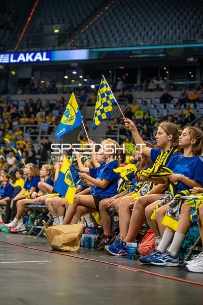 Handball I Herren I Saison 2023-2024 I Liqui Moly Handballbundesliga I 10. Spieltag I Rhein-Neckar Löwen - SC DHfK Leipzig I 09.11.2023