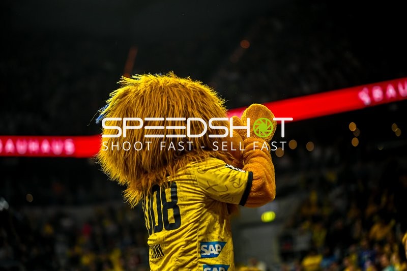 Handball I Herren I Saison 2023-2024 I Liqui Moly Handballbundesliga I 13. Spieltag I Rhein-Neckar Löwen - HSG Wetzlar I 23.11.2023