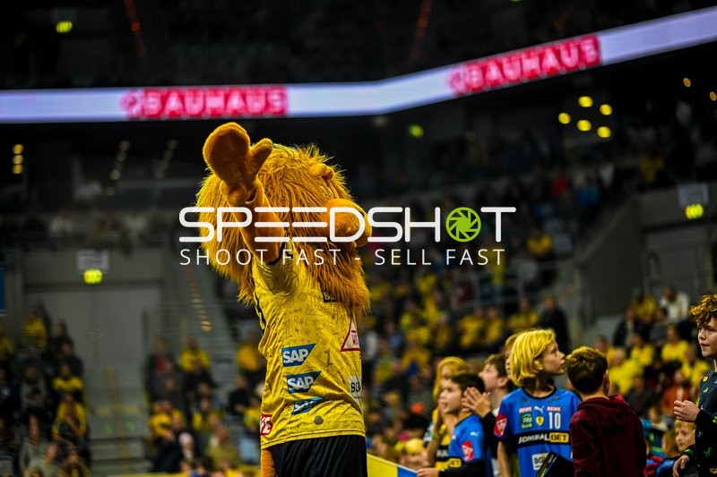 Handball I Herren I Saison 2023-2024 I Liqui Moly Handballbundesliga I 13. Spieltag I Rhein-Neckar Löwen - HSG Wetzlar I 23.11.2023