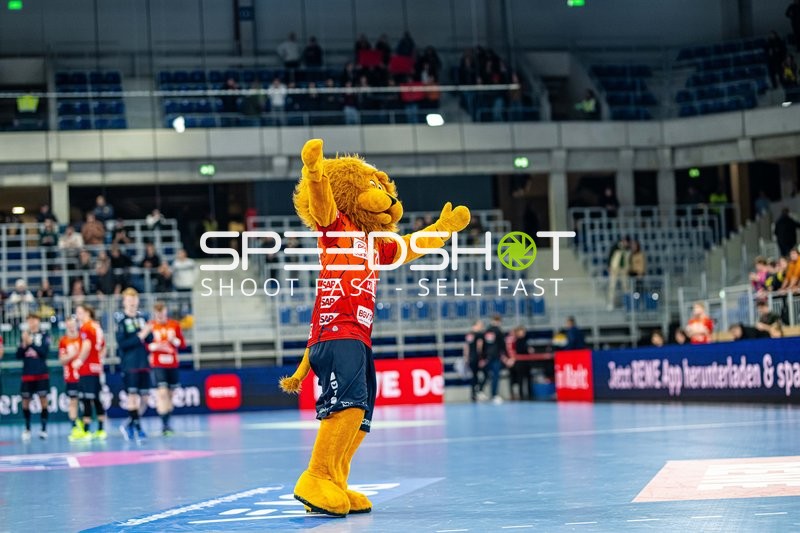 Maskottchen auf dem Spielfeld