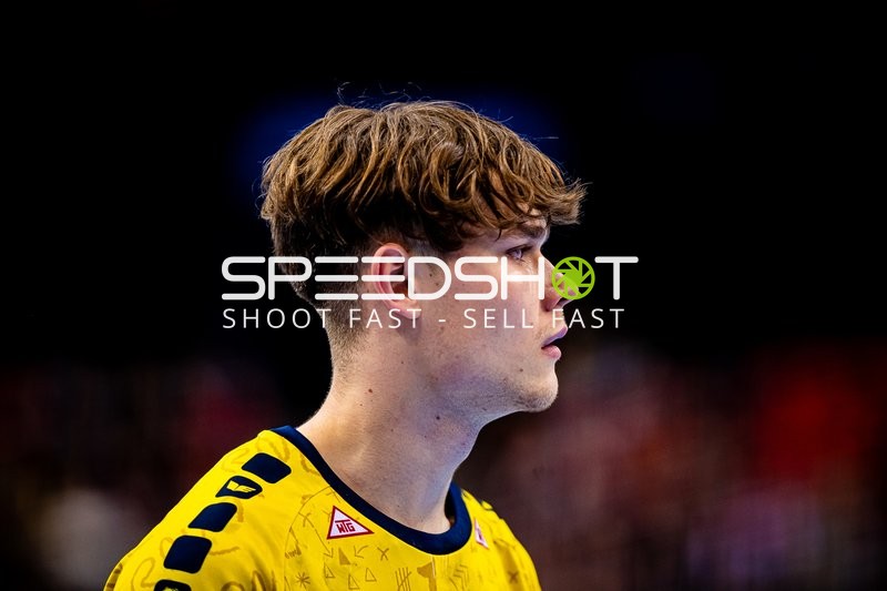 Handball I Herren I Saison 2023-2024 I Liqui Moly Handballbundesliga I 14. Spieltag I Handball Sportverein Hamburg - Rhein-Neckar Löwen I 02.12.2023