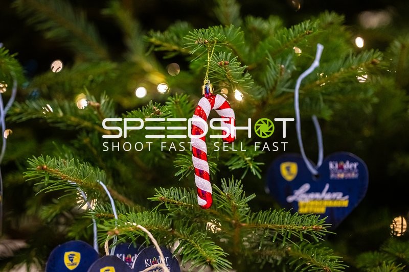 Handball I Herren I Saison 2023-2024 I Liqui Moly Handballbundesliga I 15. Spieltag I Rhein-Neckar Löwen - TBV Lemgo Lippe I 09.12.2023