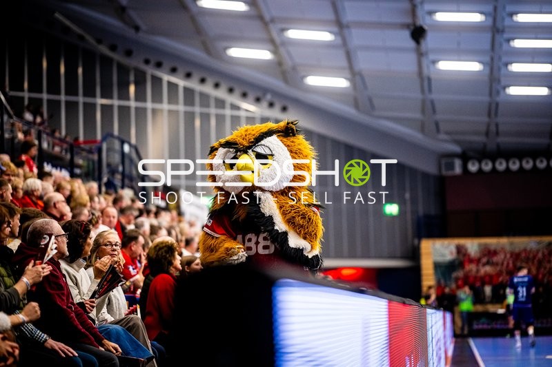 Handball I Herren I Saison 2023-2024 I 2. Handballbundesliga I 19. Spieltag I Eulen Ludwigshafen - SG BBM Bietigheim I 26.12.2023