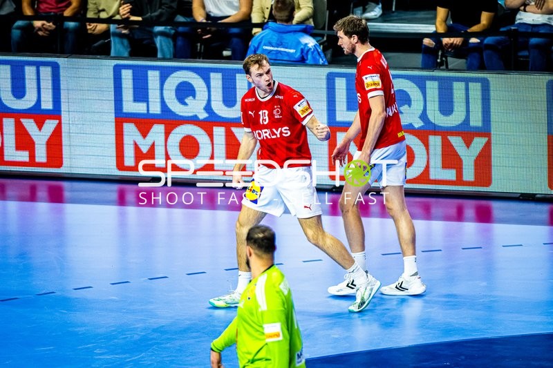 Handball I Herren I Euro 2024 I Finale I Dänemark - Frankreich I 28.01.2024