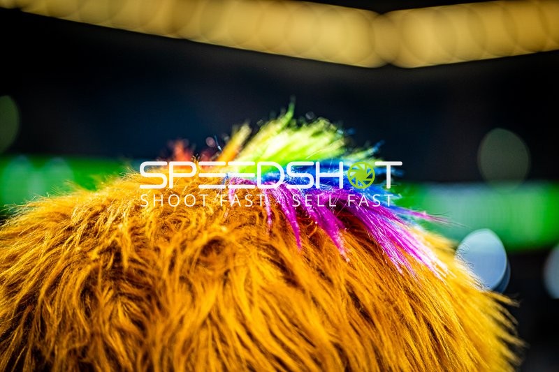 Handball I Herren I Saison 2023-2024 I Liqui Moly Handballbundesliga I 29. Spieltag I Rhein-Neckar Löwen - TSV Hannover-Burgdorf I 04.05.2024