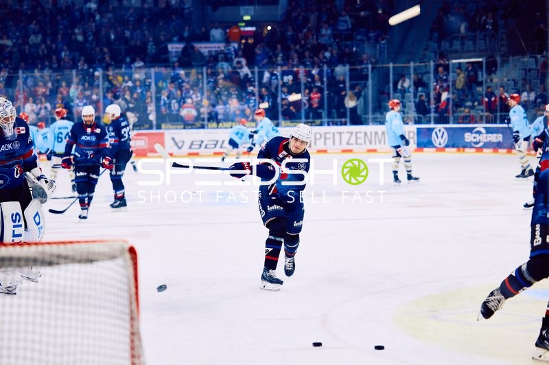 Adler Mannheim vs Schwenninger Wild Wings | 19.01.2024