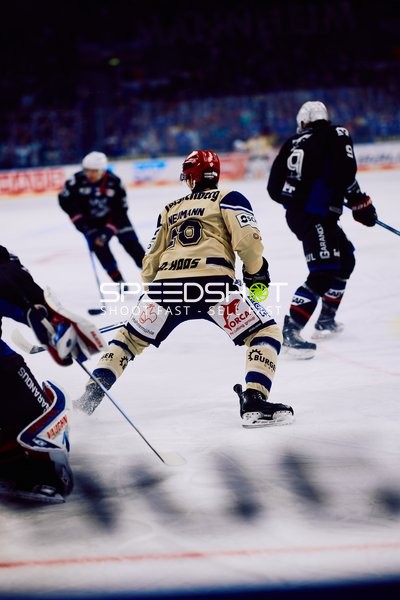 Adler Mannheim vs Schwenninger Wild Wings | 19.01.2024