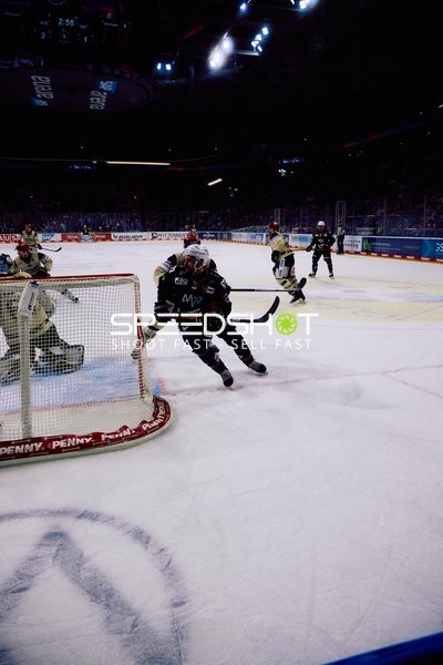 Adler Mannheim vs Schwenninger Wild Wings | 19.01.2024